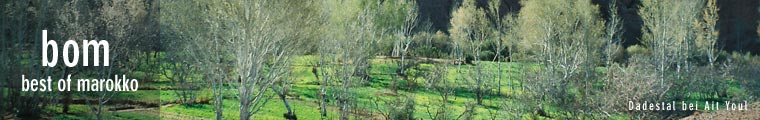 Best of Marokko - Home, Dadestal bei Ait Youl